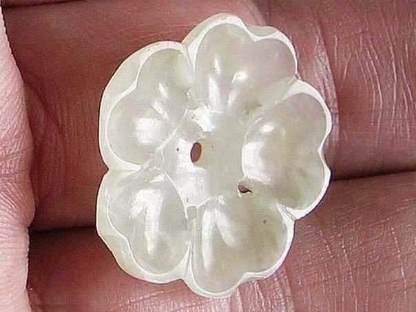 Flower  42 - (4094)